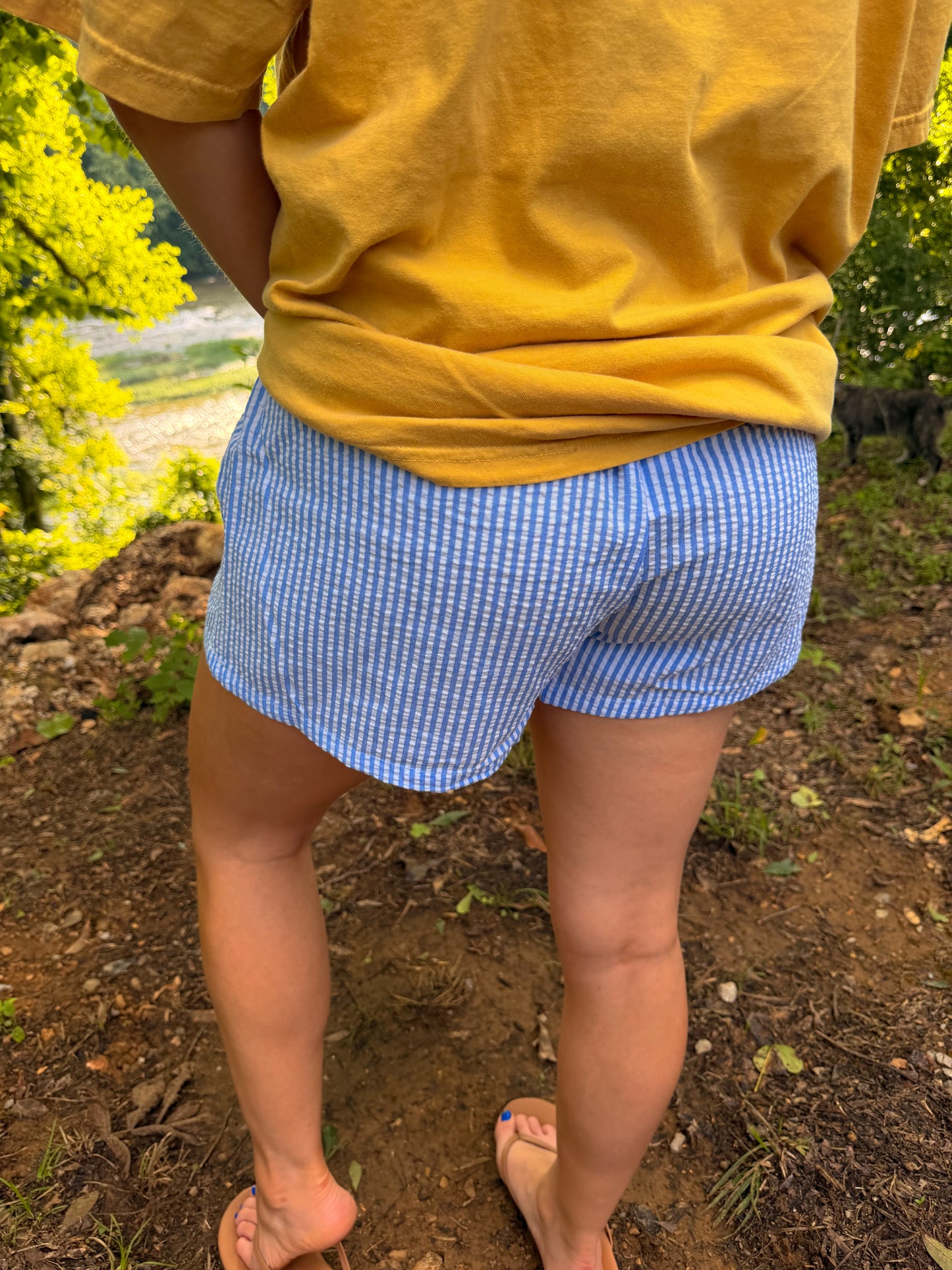 Blue Skies Seersucker Shorts