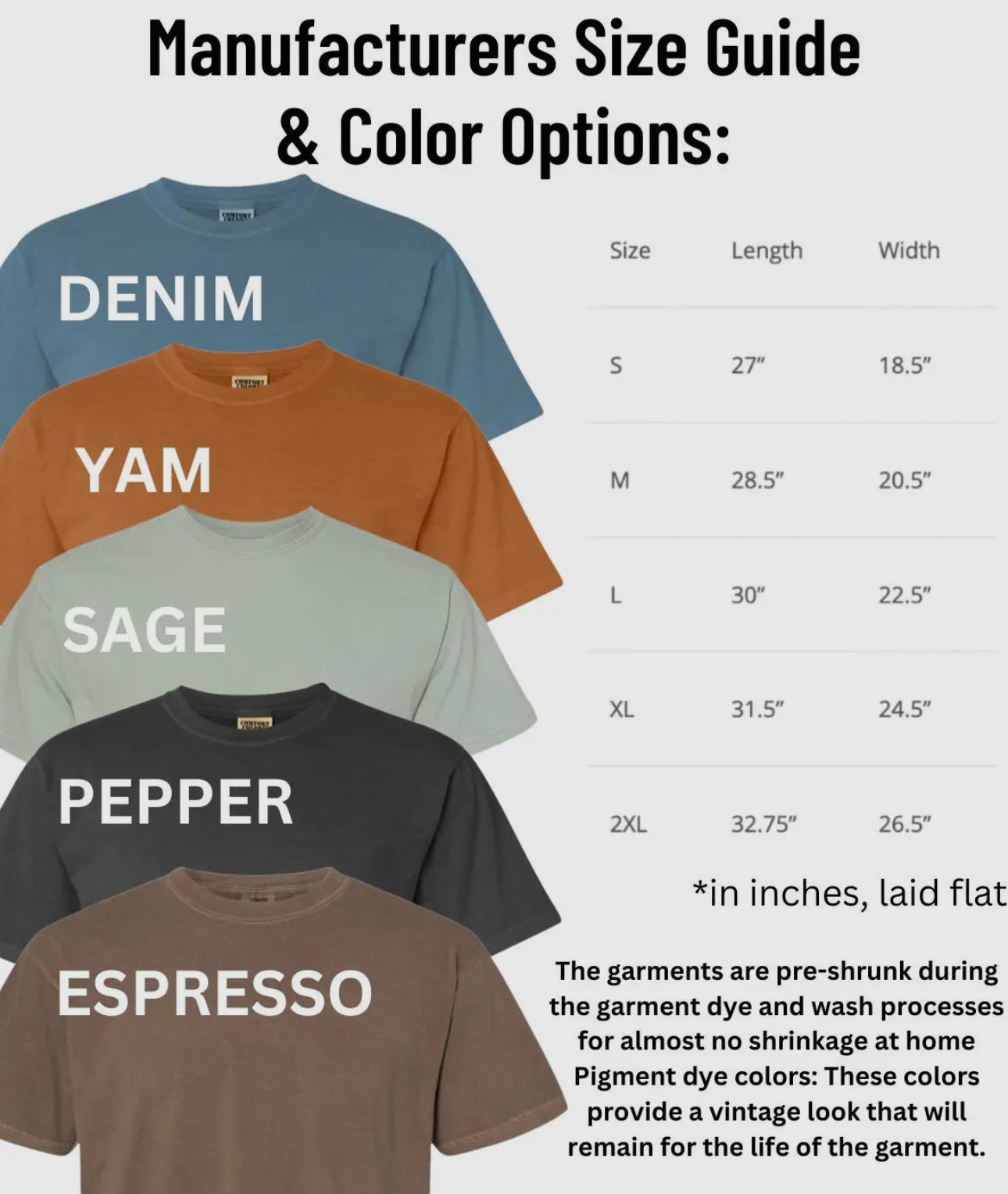 Strength and Dignity Graphic Tee