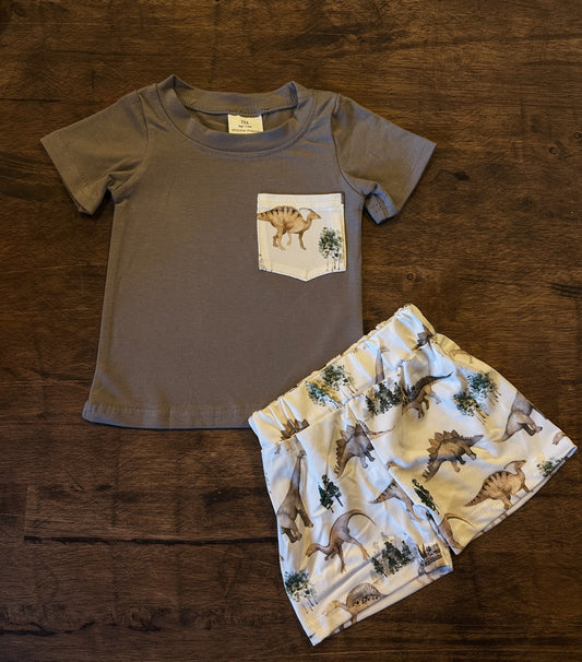 Boys Gray Dino Set